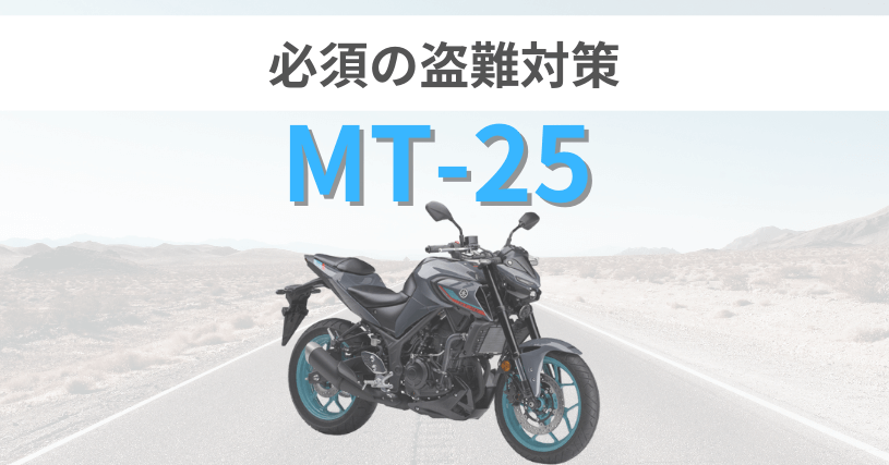 MT-25盗難対策