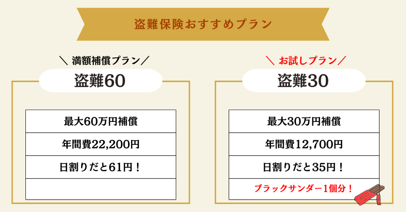 盗難プラン60,30